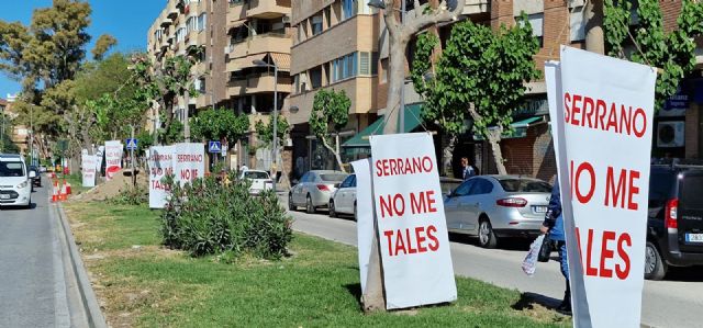 Movilización vecinal para salvar las moreras de la calle Industria - 2, Foto 2