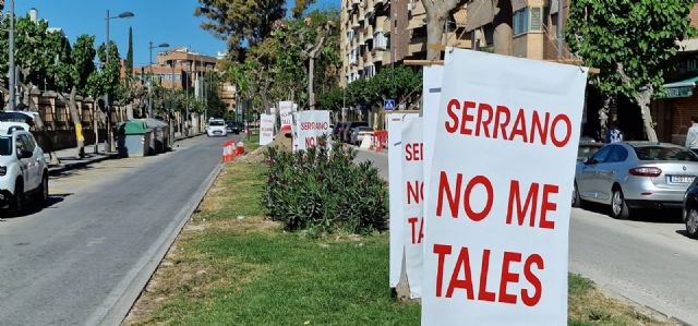 Movilización vecinal para salvar las moreras de la calle Industria - 3, Foto 3
