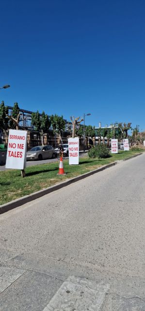 Movilización vecinal para salvar las moreras de la calle Industria - 5, Foto 5