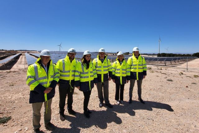 La nueva planta fotovoltaica entre Jumilla y Yecla dará servicio a más de 21.000 viviendas - 2, Foto 2