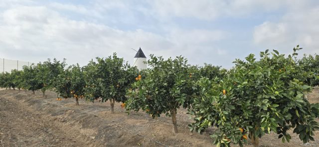 El Gobierno regional impulsa una herramienta digital para la gestión sostenible del regadío que ahorra un 30 por ciento en el consumo - 2, Foto 2