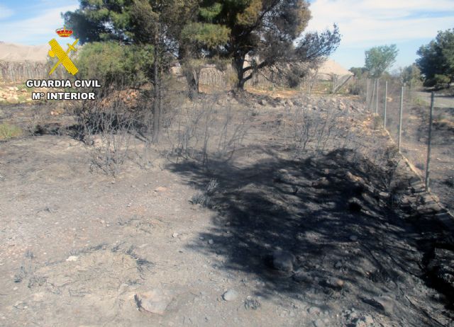 La Guardia Civil esclarece el incendio de Sierra Espu�a con la investigaci�n de un agricultor, Foto 6