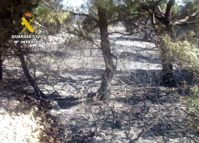 La Guardia Civil esclarece el incendio de Sierra Espu�a con la investigaci�n de un agricultor, Foto 9