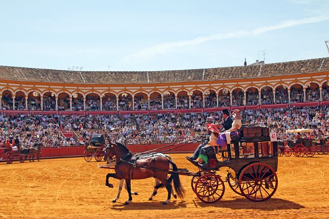 “Mantillas, caballos y carruajes deslumbran en la 40ª Exhibición de Enganches” en Sevilla - 2, Foto 2