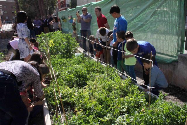 El Huerto Escolar de La Santa Cruz fomenta el desarrollo sostenible y la alimentación saludable - 3, Foto 3