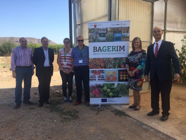 Agricultura muestra las variedades tradicionales de tomate conservadas en el Banco de Germoplasma del IMIDA - 1, Foto 1