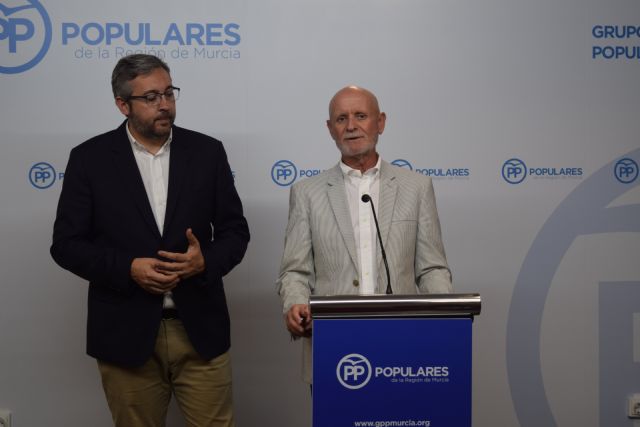 El PP defiende una ley nacional que haga iguales a los españoles en el proceso final de la vida - 1, Foto 1