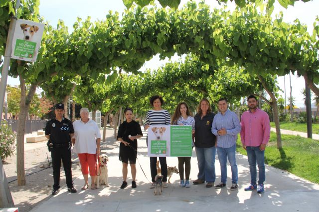 El Ayuntamiento inicia una campaña sobre tenencia responsable de animales de compañía - 1, Foto 1