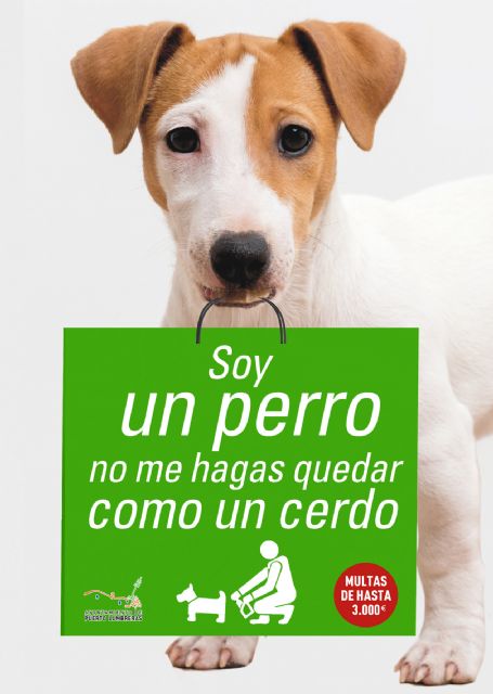 El Ayuntamiento inicia una campaña sobre tenencia responsable de animales de compañía - 2, Foto 2
