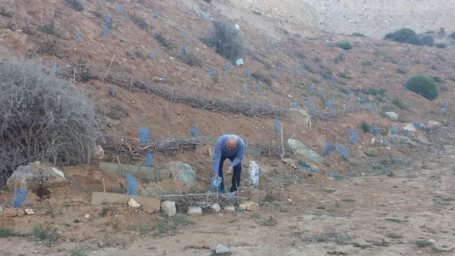 Cs advierte sobre el abandono de la reforestación del monte del Castillo de los Moros y exige que se extreme el control - 1, Foto 1