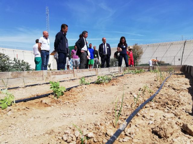 Agricultura colabora en la formación y reinserción laboral de los reclusos del Centro Penitenciario Murcia II - 1, Foto 1
