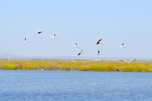 Día Europeo de los Parques Naturales - 1, Foto 1
