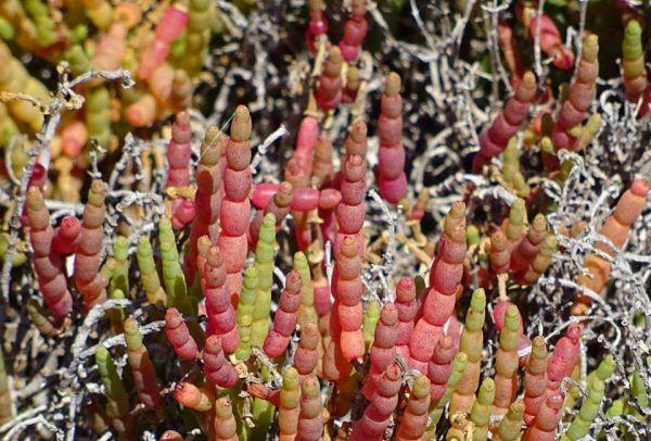 Día Europeo de los Parques Naturales - 2, Foto 2