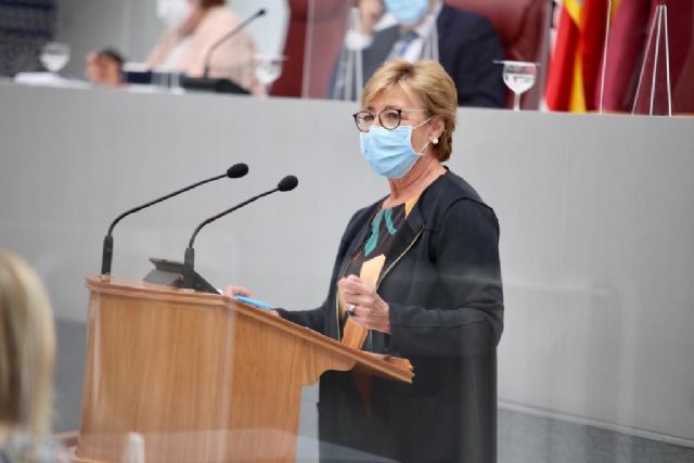 Maruja Pelegrín: El PSOE, en lugar de colaborar, sigue utilizando la pandemia para hacer demagogia oportunista - 1, Foto 1