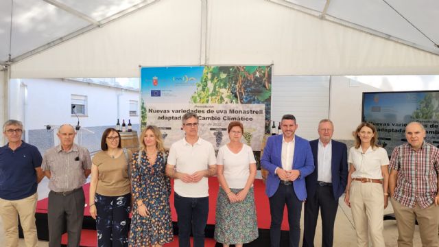 La Comunidad presenta cuatro nuevas variedades de uva Monastrell adaptadas a los efectos del cambio climático - 1, Foto 1