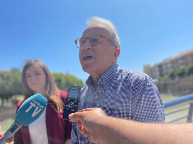 Quejas vecinales por la proliferación de mosquitos ante la pasividad de los socialistas - 2, Foto 2