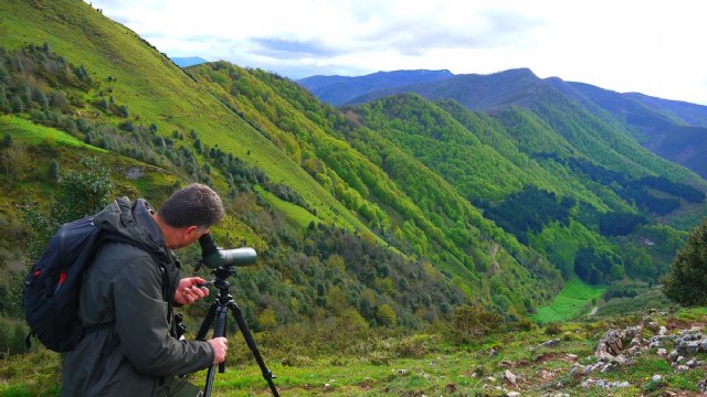 Fotos: Carmen Cespedosa, E.S., FOP, TENT y varios, Foto 1