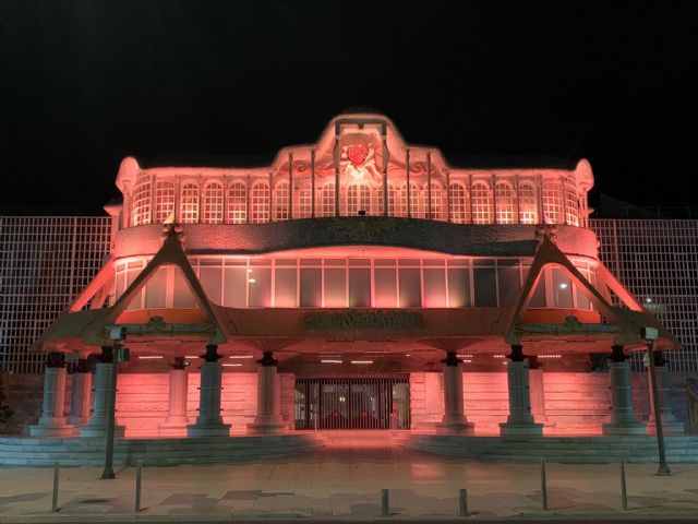 La Asamblea Regional se iluminará de naranja con motivo del Día Nacional de la Epilepsia - 1, Foto 1