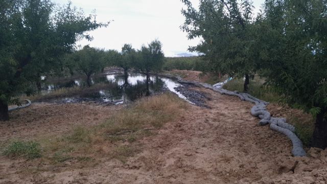 El Ayuntamiento de Calasparra informa sobre el vertido en una finca agrícola provocado por una fuga en el oleoducto CartagenaPuertollano - 1, Foto 1