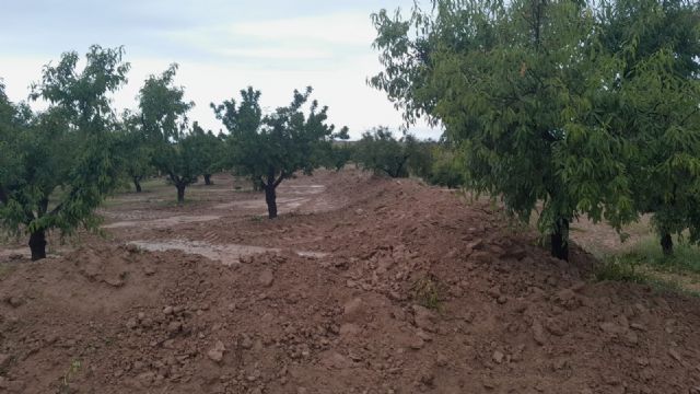 El Ayuntamiento de Calasparra informa sobre el vertido en una finca agrícola provocado por una fuga en el oleoducto CartagenaPuertollano - 2, Foto 2