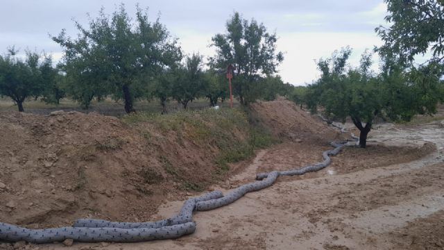 El Ayuntamiento de Calasparra informa sobre el vertido en una finca agrícola provocado por una fuga en el oleoducto CartagenaPuertollano - 3, Foto 3