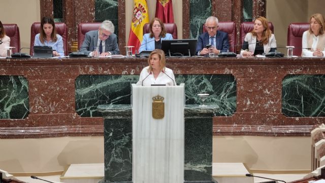 El Grupo Parlamentario Socialista realiza 2 interpelaciones al Gobierno regional - 1, Foto 1