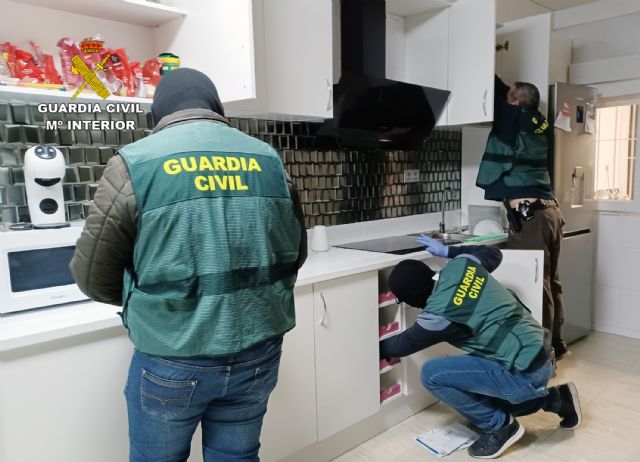 La Guardia Civil desmantela un grupo delictivo dedicado al tráfico de drogas - 2, Foto 2