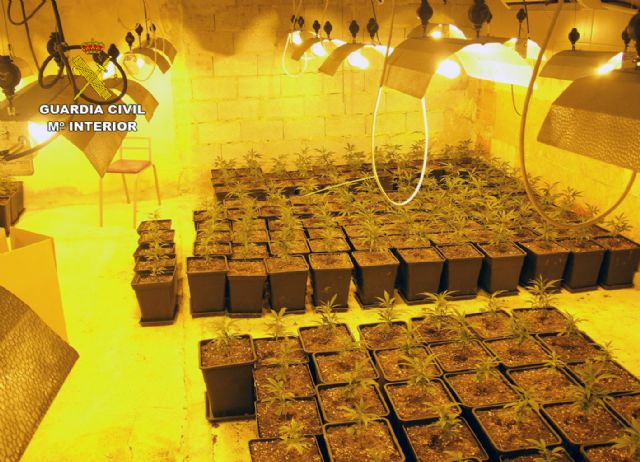 La Guardia Civil desmantela un grupo delictivo dedicado al tráfico de drogas - 5, Foto 5