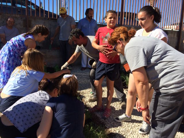 El Colegio Príncipe Felipe pone en marcha un huerto urbano - 3, Foto 3