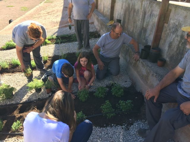El Colegio Príncipe Felipe pone en marcha un huerto urbano - 4, Foto 4