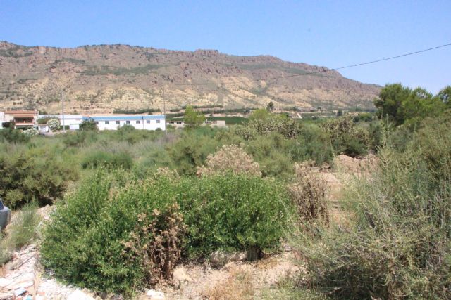 Llega la autorizacin para construir el nuevo parking junto a ElPozo, Foto 1