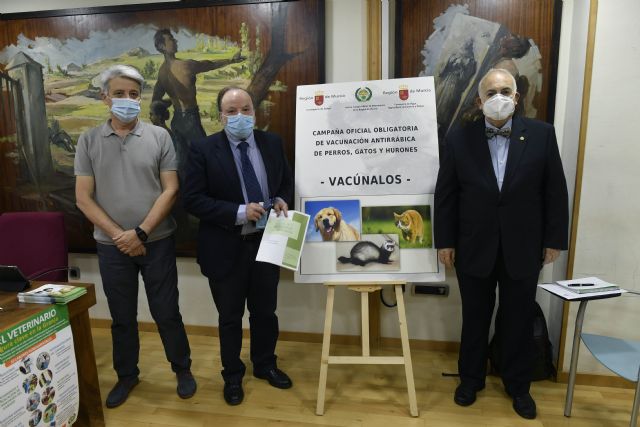 Los Veterinarios de Murcia realizarán un Mapa para investigar la inmunidad de las mascotas frente al COVID-19 - 1, Foto 1
