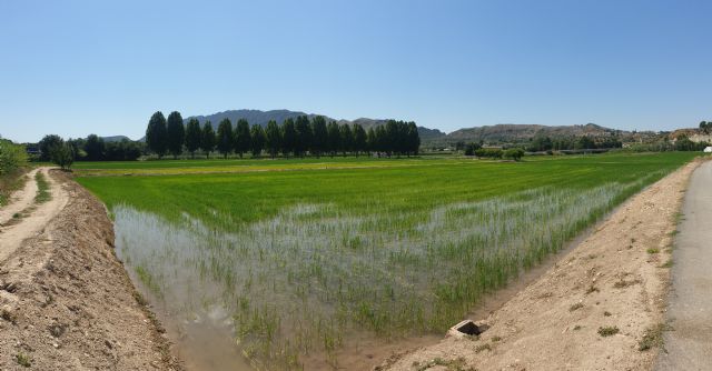 Ruta ECO-TURÍSTICA en Calasparra - 3, Foto 3