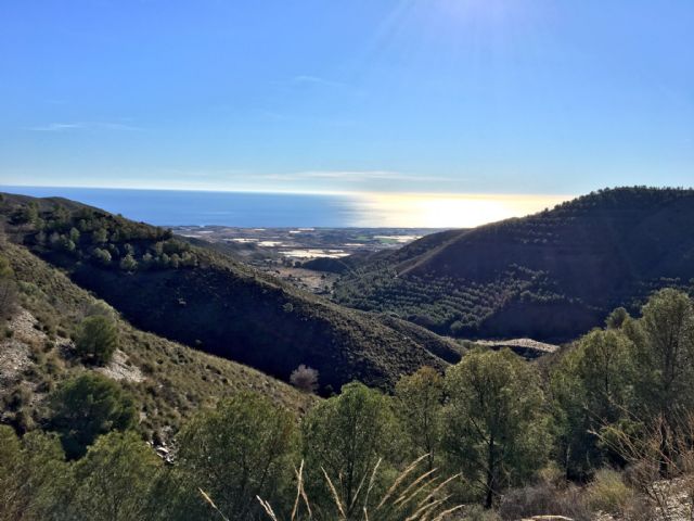 El PP denuncia el descontrol de la gestión del equipo de Gobierno al no adherirse al plan de prevención de incendios forestales - 1, Foto 1
