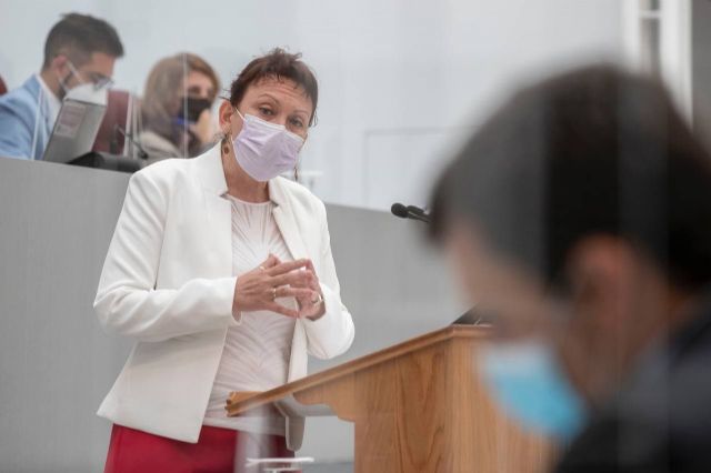 Podemos considera que la nueva ley de Servicios Sociales es una oportunidad perdida - 1, Foto 1