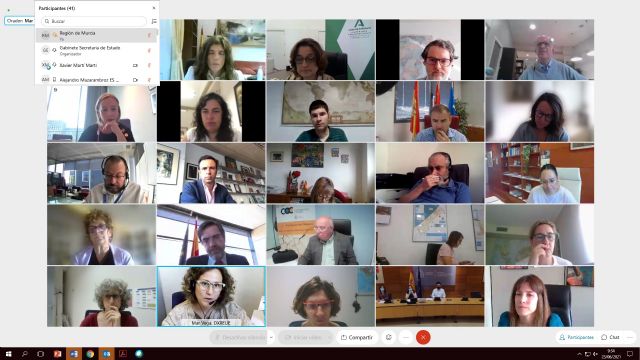 El director general de Gobierno Abierto y Cooperación participa en el Comité de Coordinación del Plan de Vacunación solidaria contra el Covid-19 - 2, Foto 2