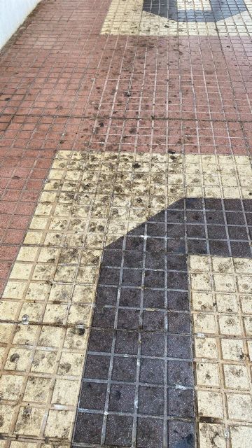 MC: La peor Cartagena del siglo XXI, el gran logro de Arroyo - 2, Foto 2