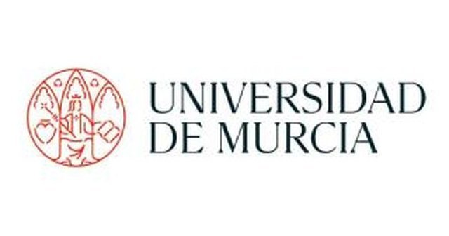 La Universidad de Murcia presenta el lunes su nueva identidad visual - 1, Foto 1