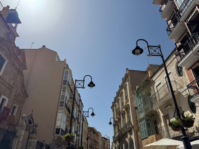 Ni rastro del Plan Sombra en la calle del Carmen pese a la promesa de iniciar su instalación el 21 de junio - 1, Foto 1