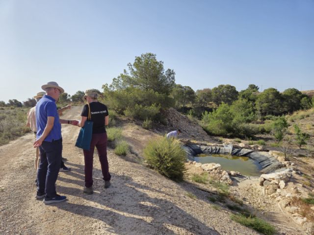 Las acciones medioambientales en la finca forestal municipal de Los Pelaos permite aumentar su masa forestal en más de mil ejemplares - 1, Foto 1