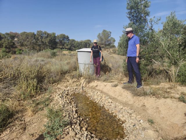 Las acciones medioambientales en la finca forestal municipal de Los Pelaos permite aumentar su masa forestal en más de mil ejemplares - 2, Foto 2