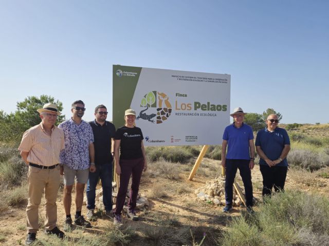 Las acciones medioambientales en la finca forestal municipal de Los Pelaos permite aumentar su masa forestal en más de mil ejemplares - 4, Foto 4