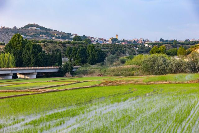 Paseo a caballo entre arrozales hasta el Santuario - 4, Foto 4
