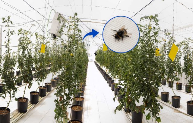 Proyecto DARkWIN: Naturaleza y tecnología se alían para mejorar la agricultura del futuro - 1, Foto 1