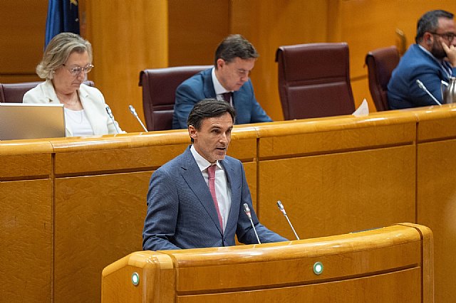 El Gobierno regional presenta en el Senado su nuevo modelo de ´vivienda asequible´ como alternativa a la ley estatal - 1, Foto 1