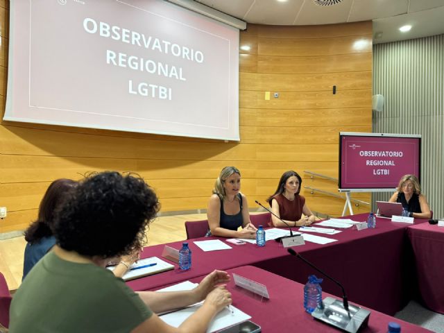Pol�tica Social destaca los avances en sensibilizaci�n y formaci�n de profesionales para la atenci�n de las personas LGTBI, Foto 2