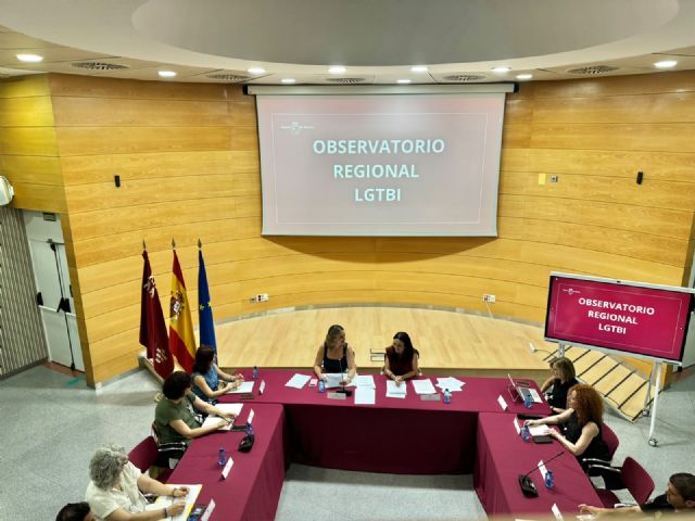 Pol�tica Social destaca los avances en sensibilizaci�n y formaci�n de profesionales para la atenci�n de las personas LGTBI, Foto 3