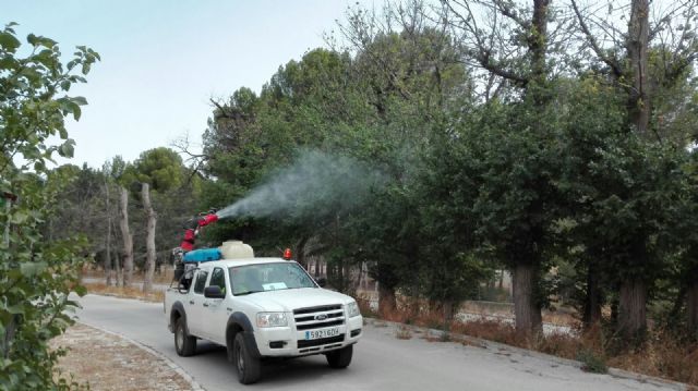 La Comunidad aplica un tratamiento para combatir la plaga de galeruca en la olmera de Cieza - 1, Foto 1