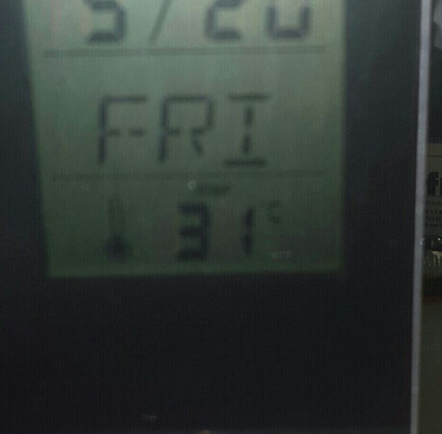 Ciudadanos denuncia que los trabajadores de la Consejería de Educación tienen que soportar “un calor inhumano” durante su jornada laboral - 1, Foto 1