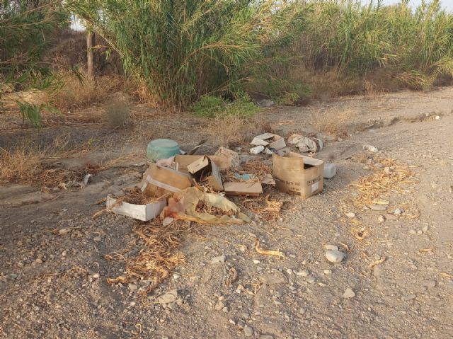 El Partido Popular de Puerto Lumbreras llevará a pleno una moción para la limpieza de los cauces que atraviesan el municipio - 3, Foto 3